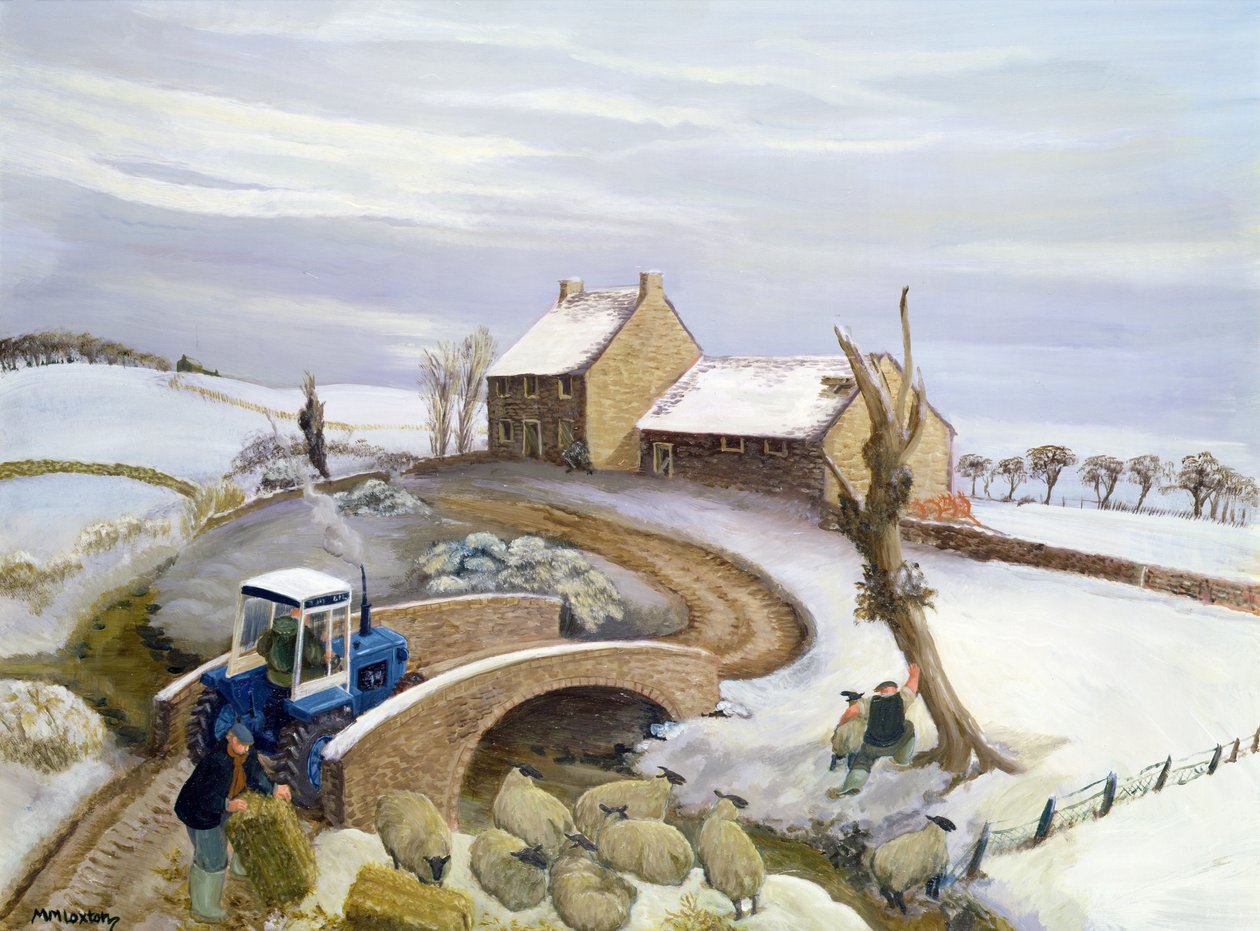 Januar in den Hügeln von Margaret Loxton