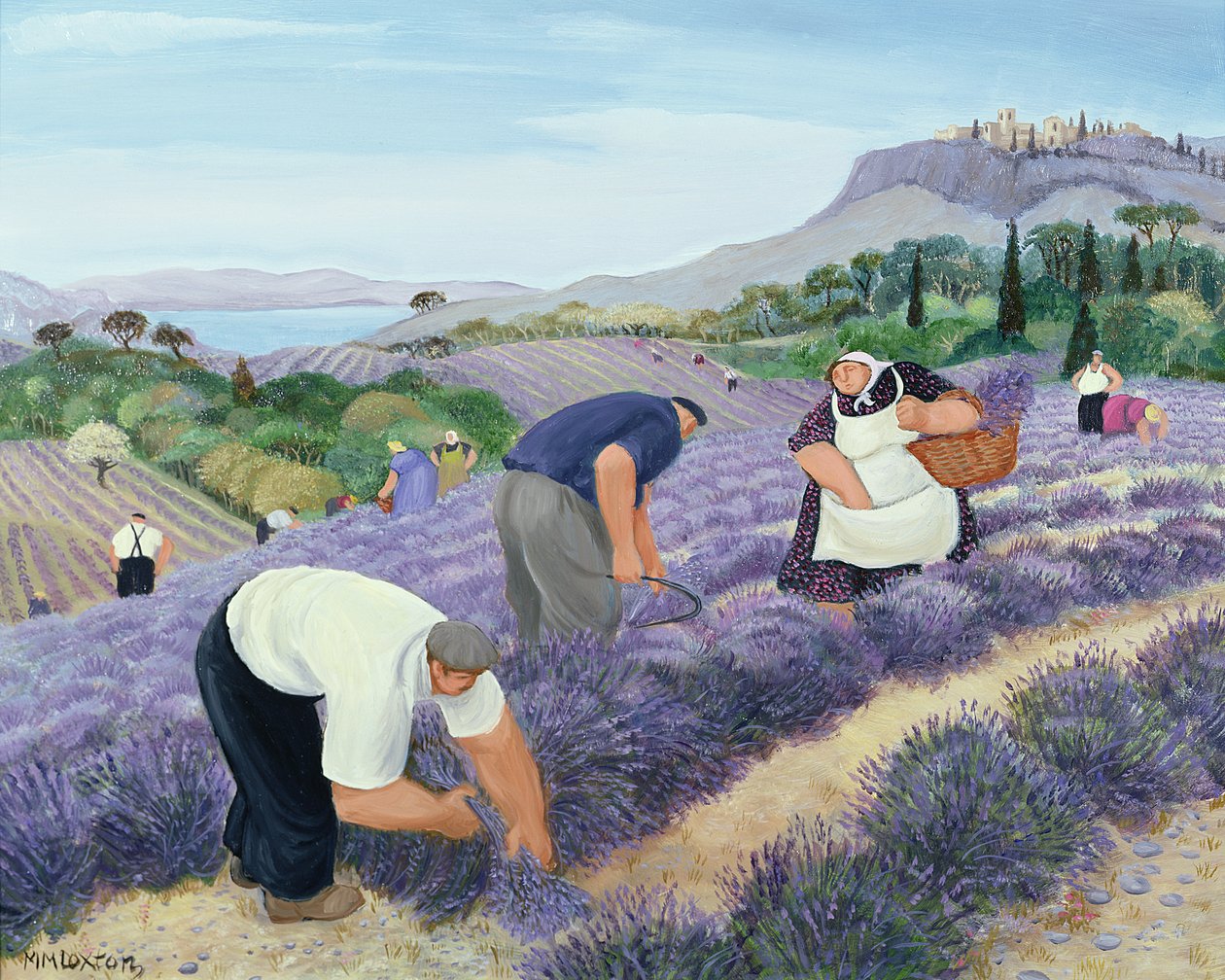 Lavendel von Margaret Loxton