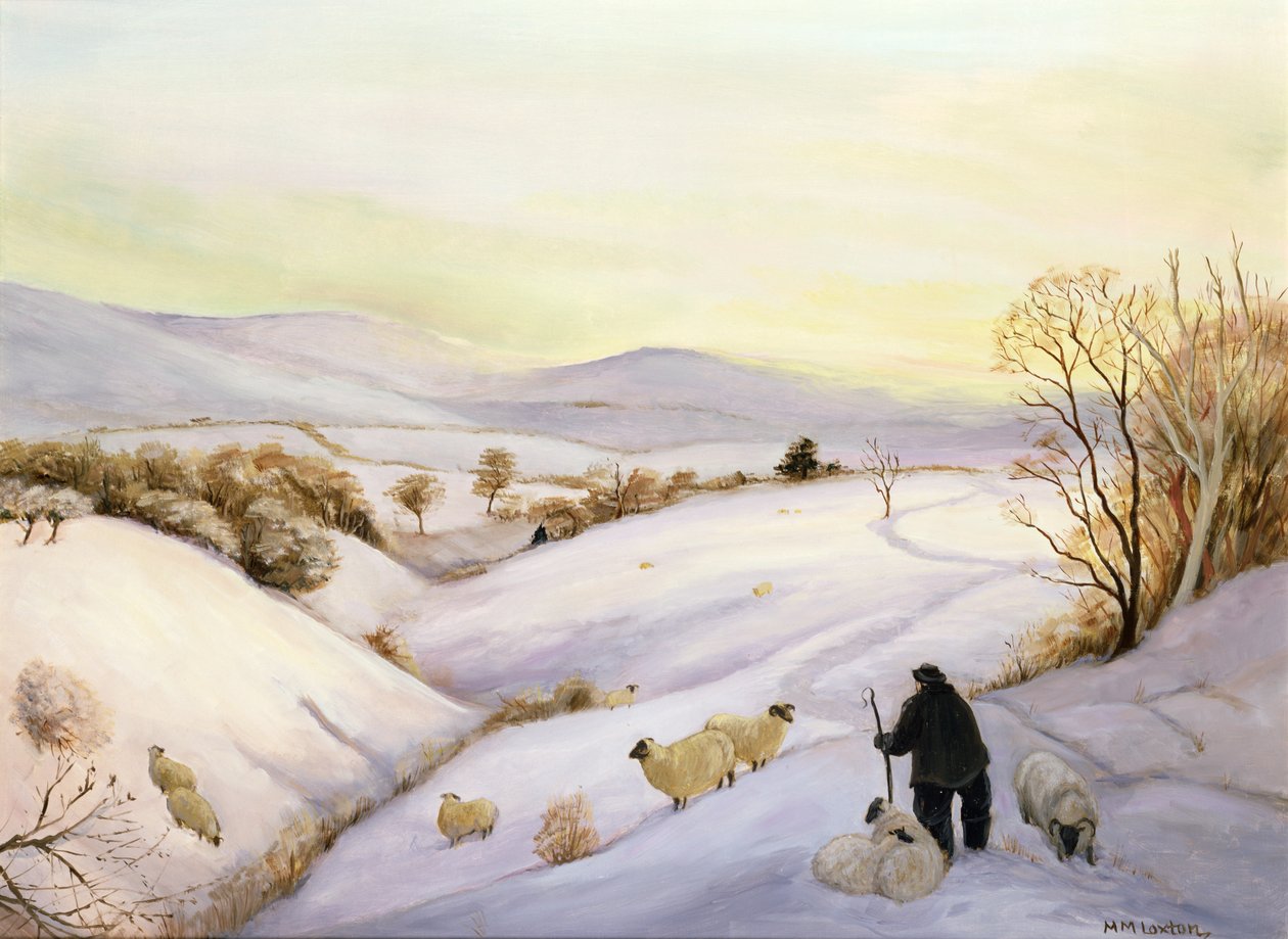 Schafe auf dem Grat von Margaret Loxton
