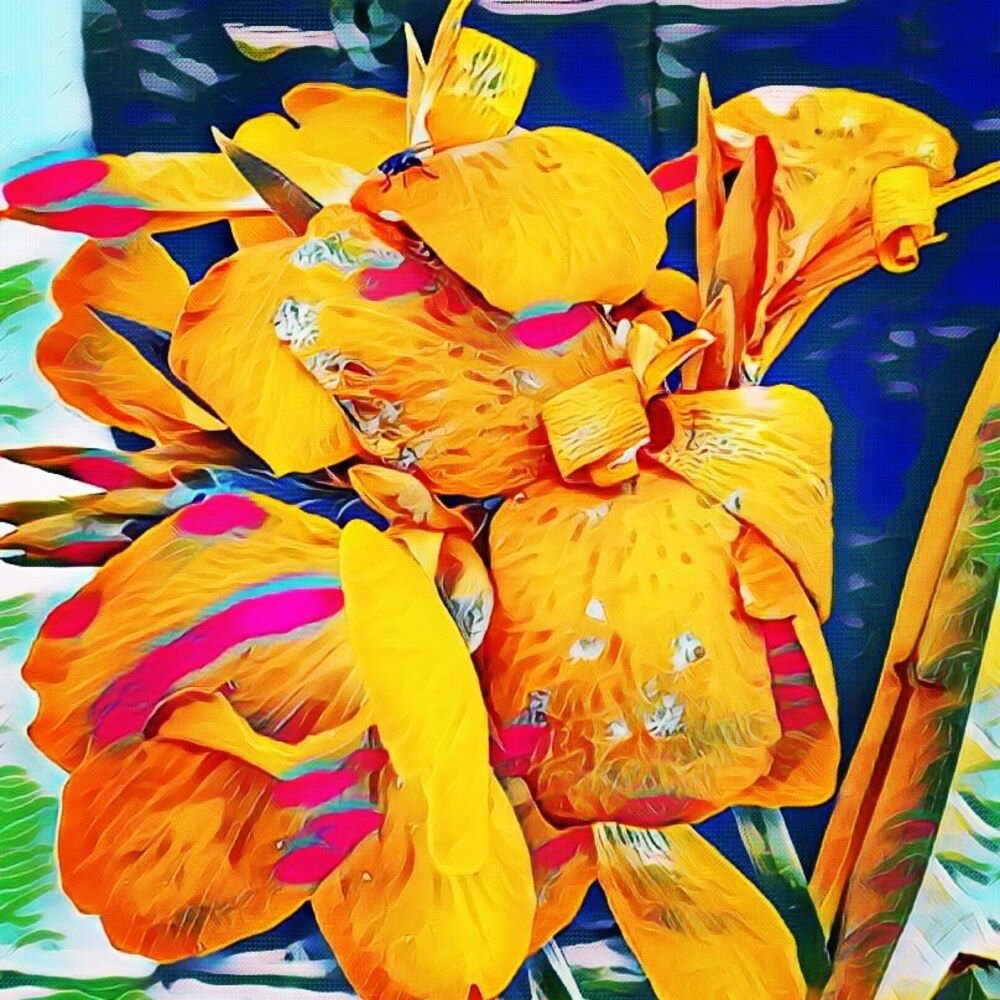 Sommermelodie von Margareta Uliarte