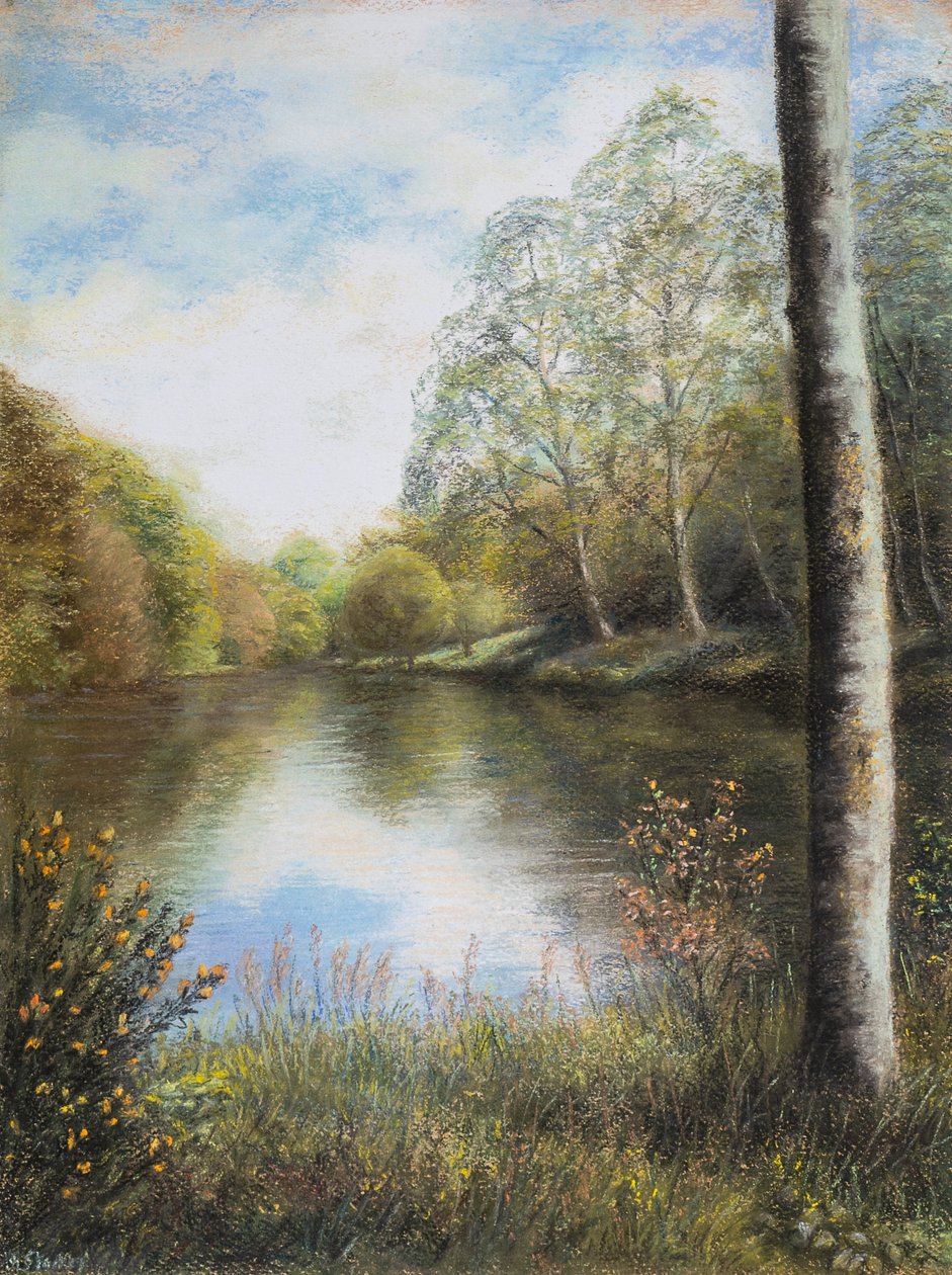 Fluss Dart, Devon von Margo Starkey
