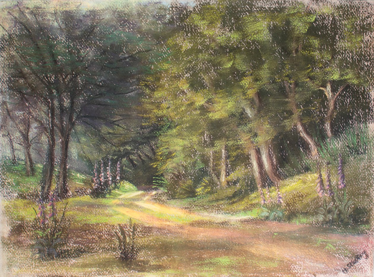 Spaziergang im Wald, Somerset, 1995 von Margo Starkey