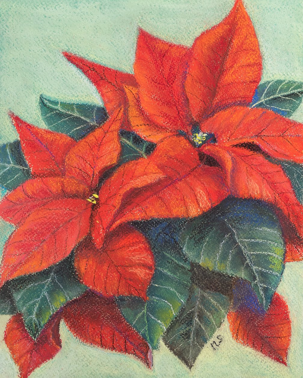 Weihnachtssterne, 2022 von Margo Starkey