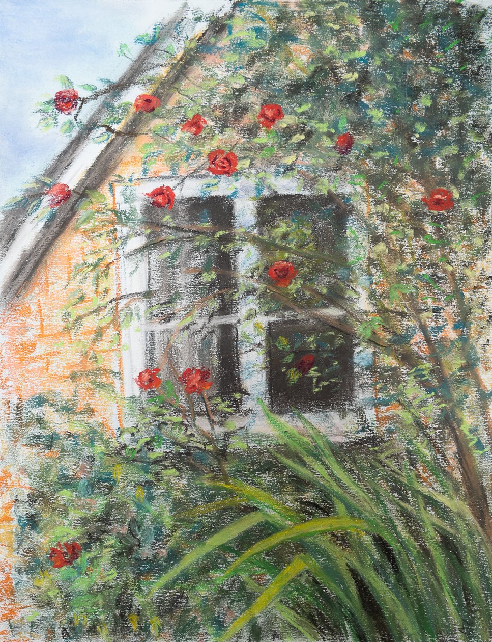 Rosen über dem Fenster von Margo Starkey