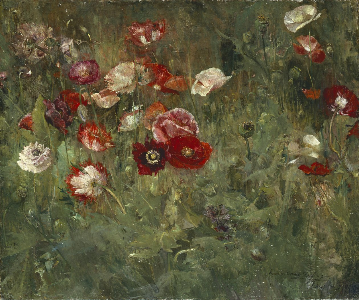 Ein Bett aus Mohnblumen, 1909 von Maria Oakey Dewing