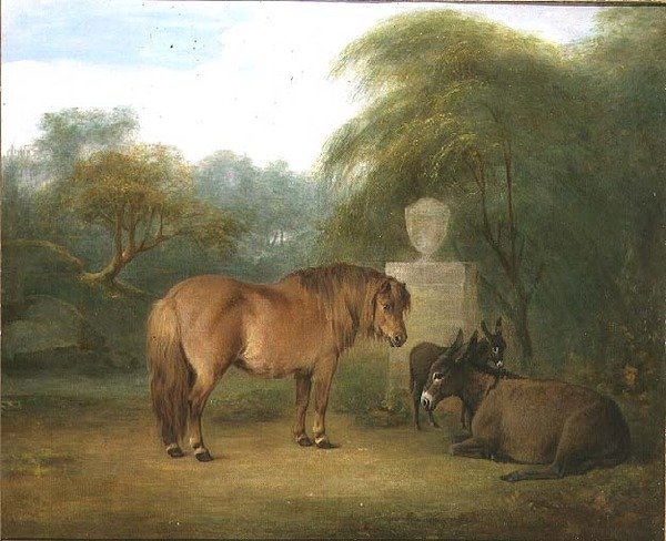 Pony und Esel in einer Lichtung von Maria Spilsbury