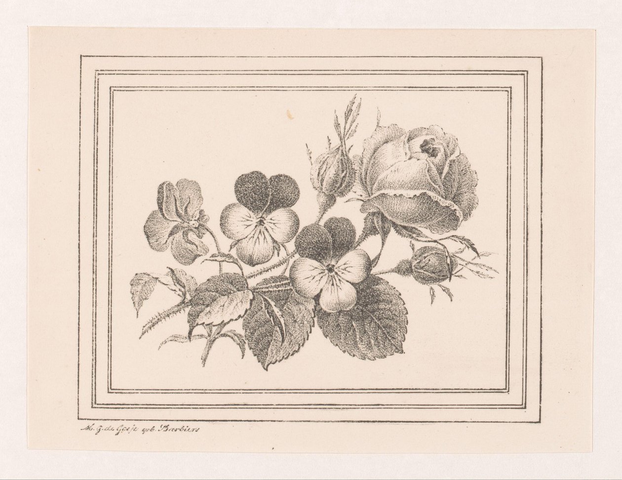 Roos en viooltjes von Maria Geertruida de Goeje Barbiers