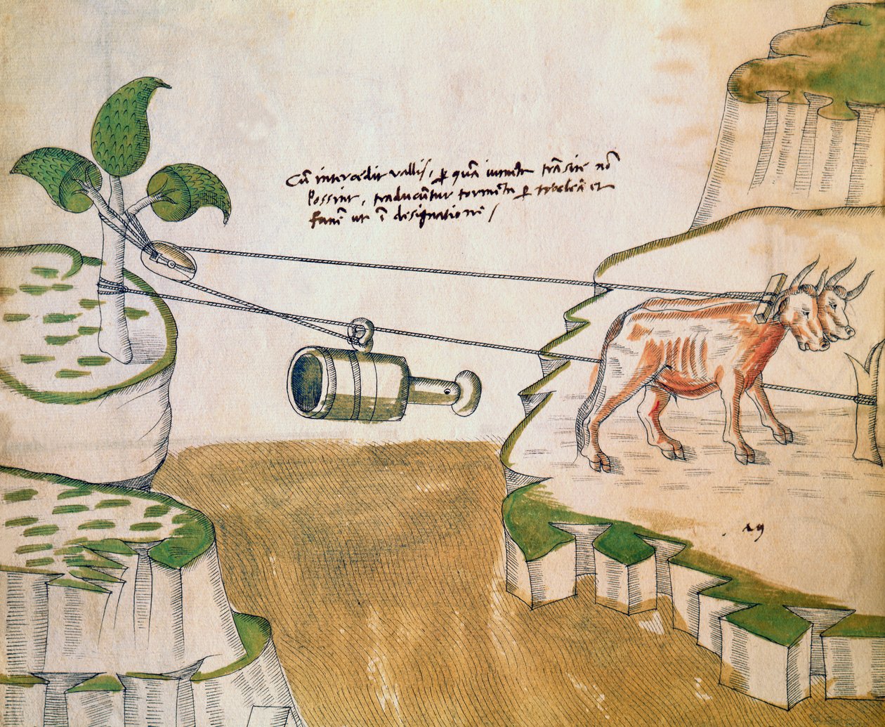 Ochsen ziehen eine Seilwinde, Illustration aus De Machinis von Mariano di Jacopo 1382 c.1453 after Mariano di Jacopo 1382 c.1453 after
