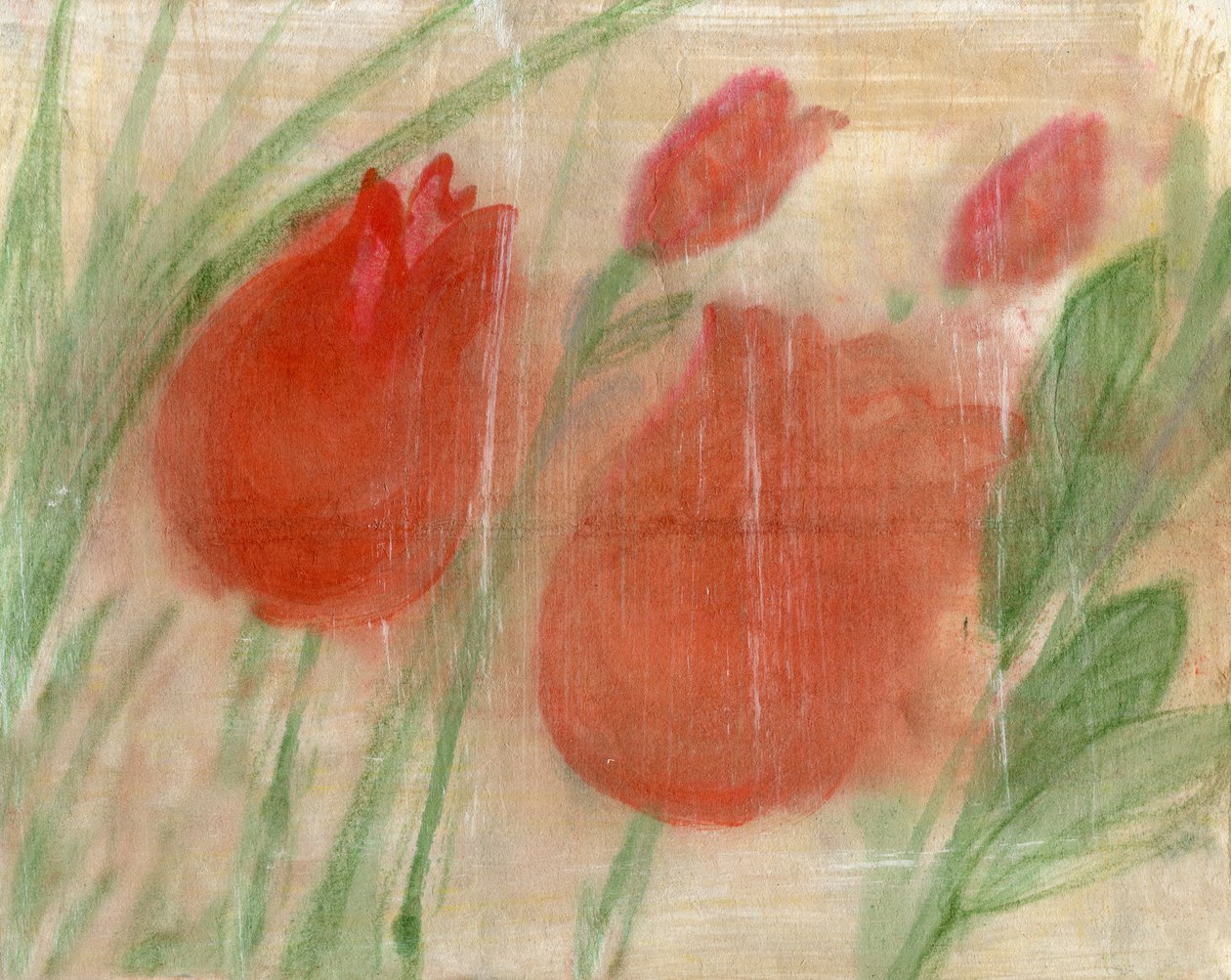 Rote Tulpen von Marina Falco