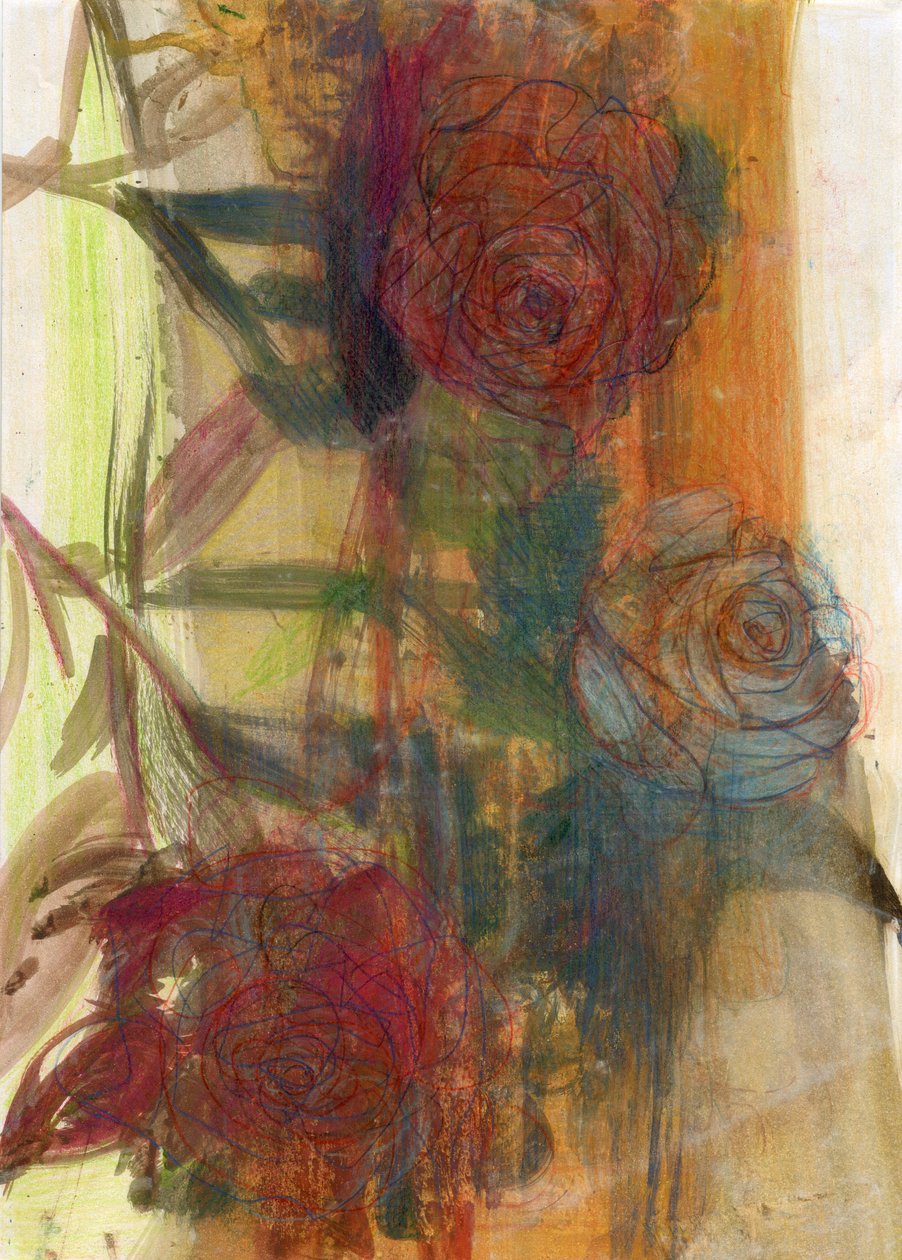 Rosen von Marina Falco