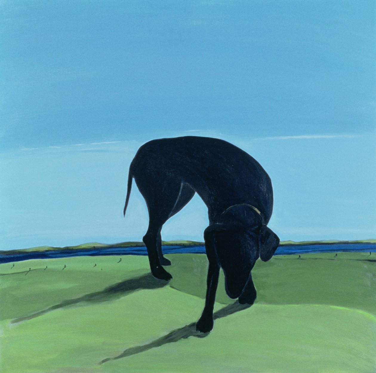 Joes schwarzer Hund von Marjorie Weiss