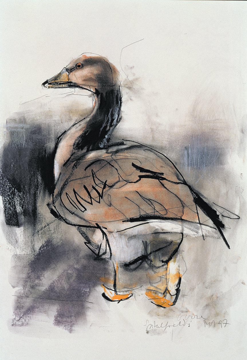 Spitalfields-Gans, 1997 von Mark Adlington