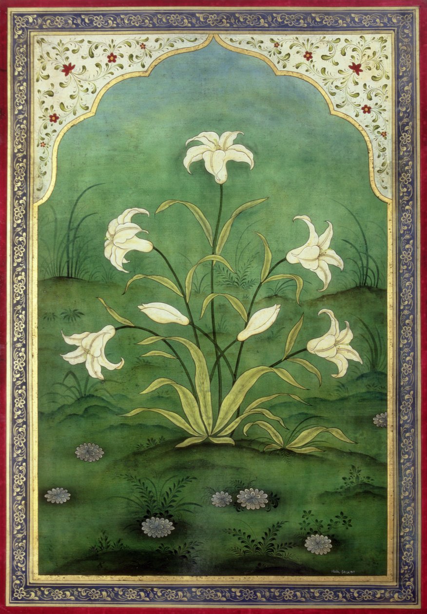 Weiße Lilien von Mark Briscoe