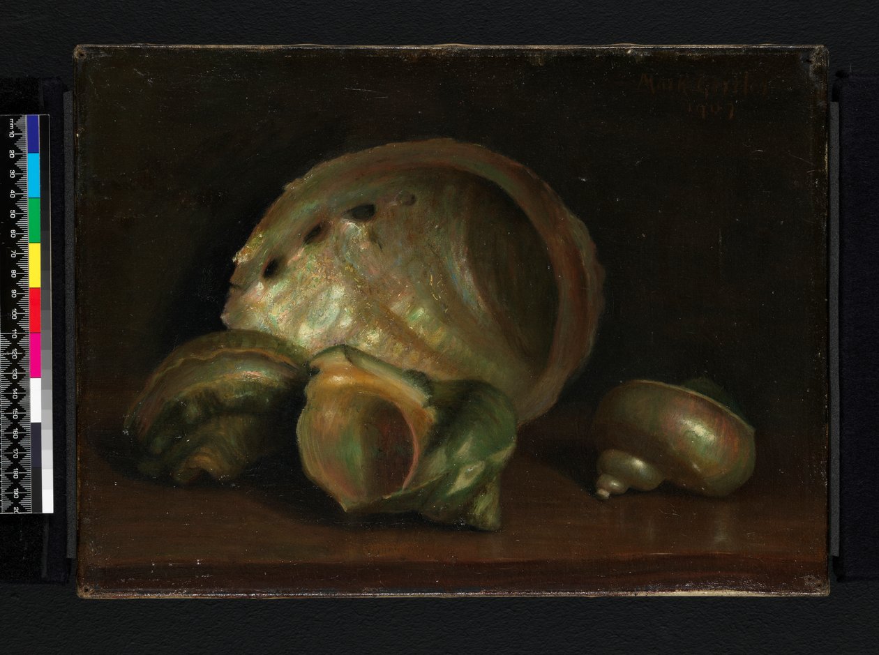 Muscheln, 1907 von Mark Gertler