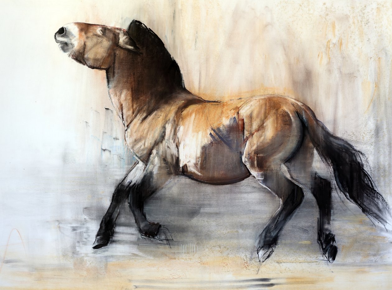Uraltes Pferd (Przewalski im Winter) von Mark Adlington