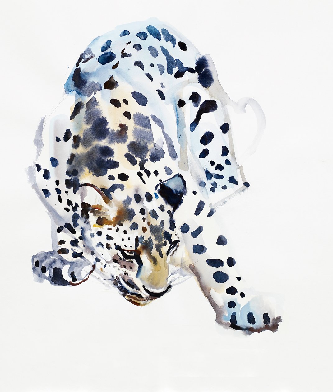 Arabischer Leopard, 2008 von Mark Adlington