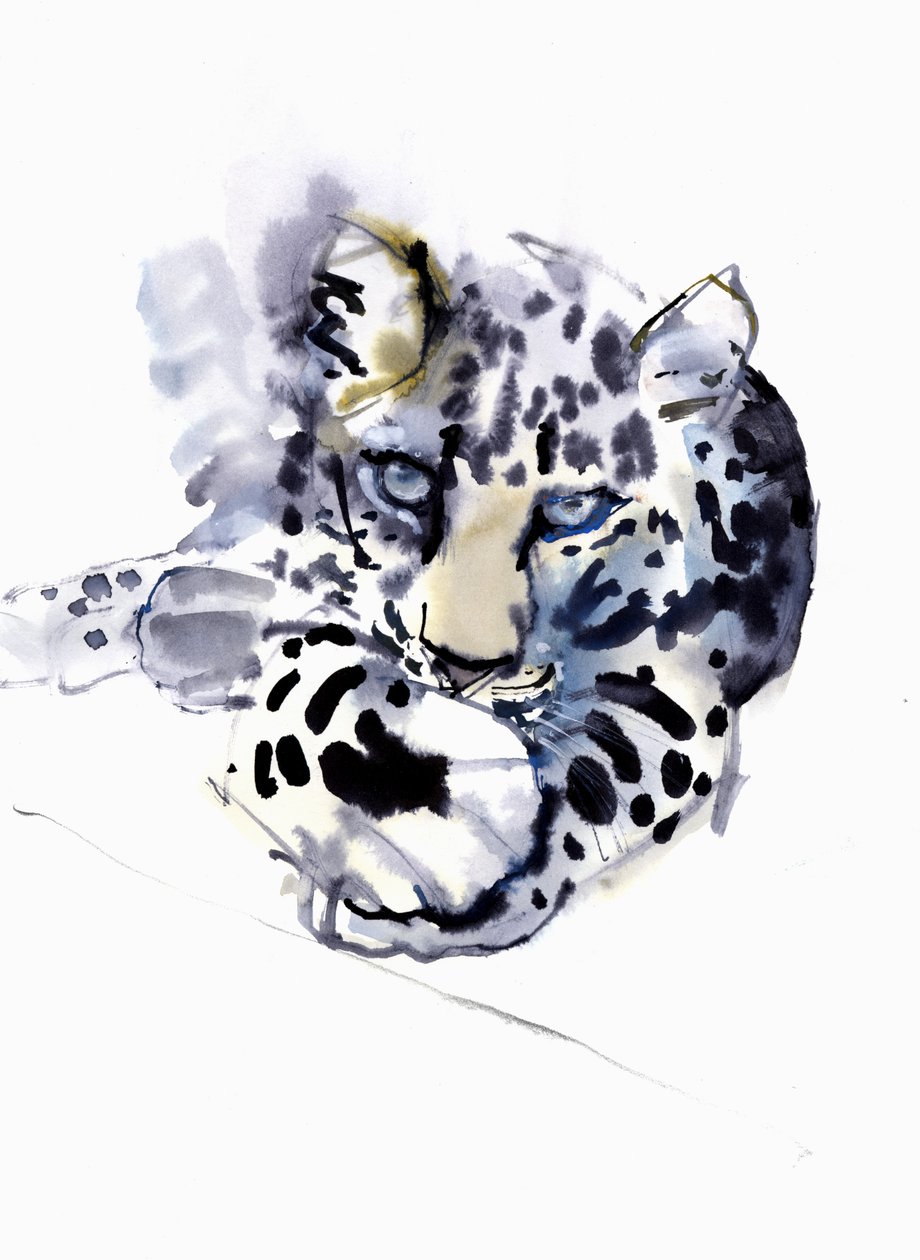 Arabischer Leopard, 2008 von Mark Adlington