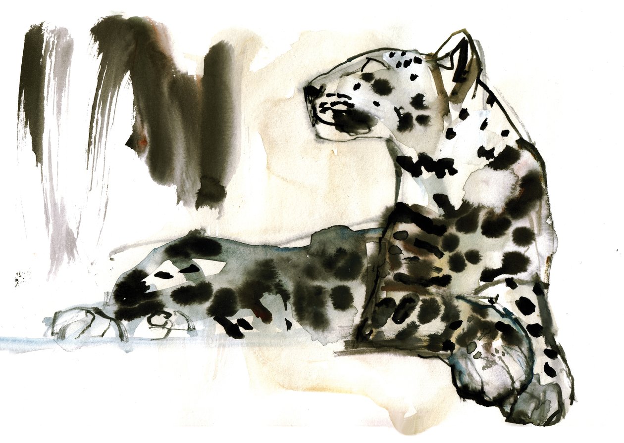 Arabischer Leopard, 2008 von Mark Adlington