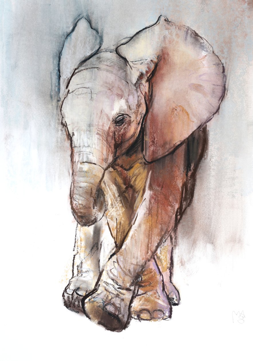 Baby-Elefant 2, Loisaba, 2018 von Mark Adlington