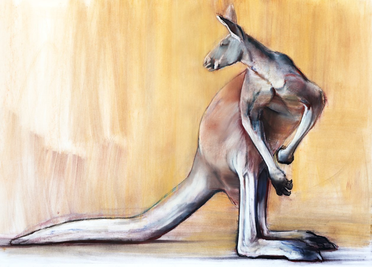 Großer Roter (Känguru), 2014 von Mark Adlington
