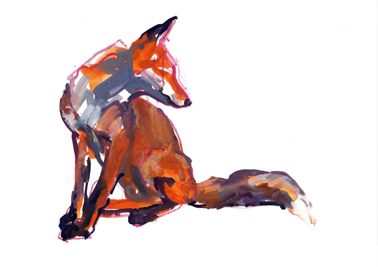 Eleganter Jungfuchs von Mark Adlington