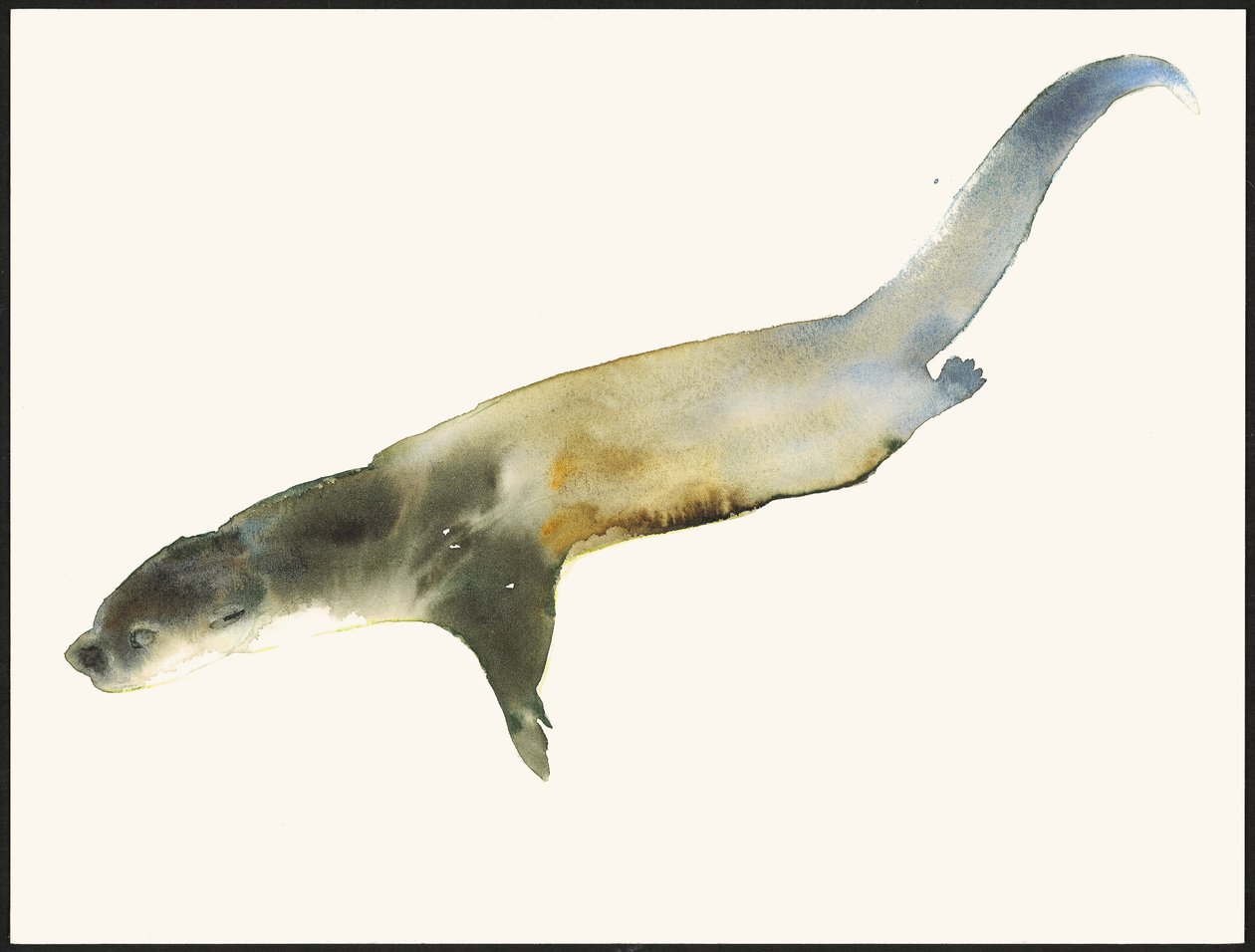 Europäischer Otter von Mark Adlington