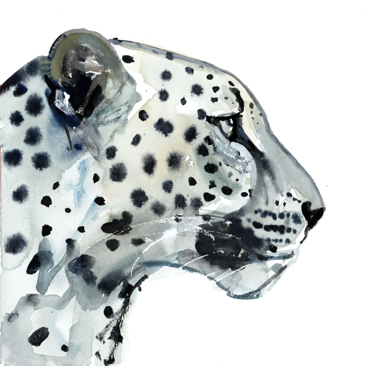 Fokus, 2015 von Mark Adlington