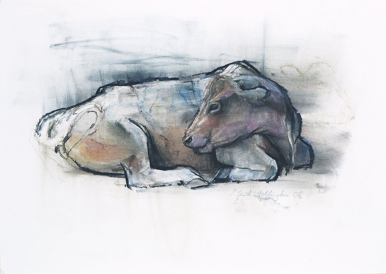 Galloway, 2006 von Mark Adlington
