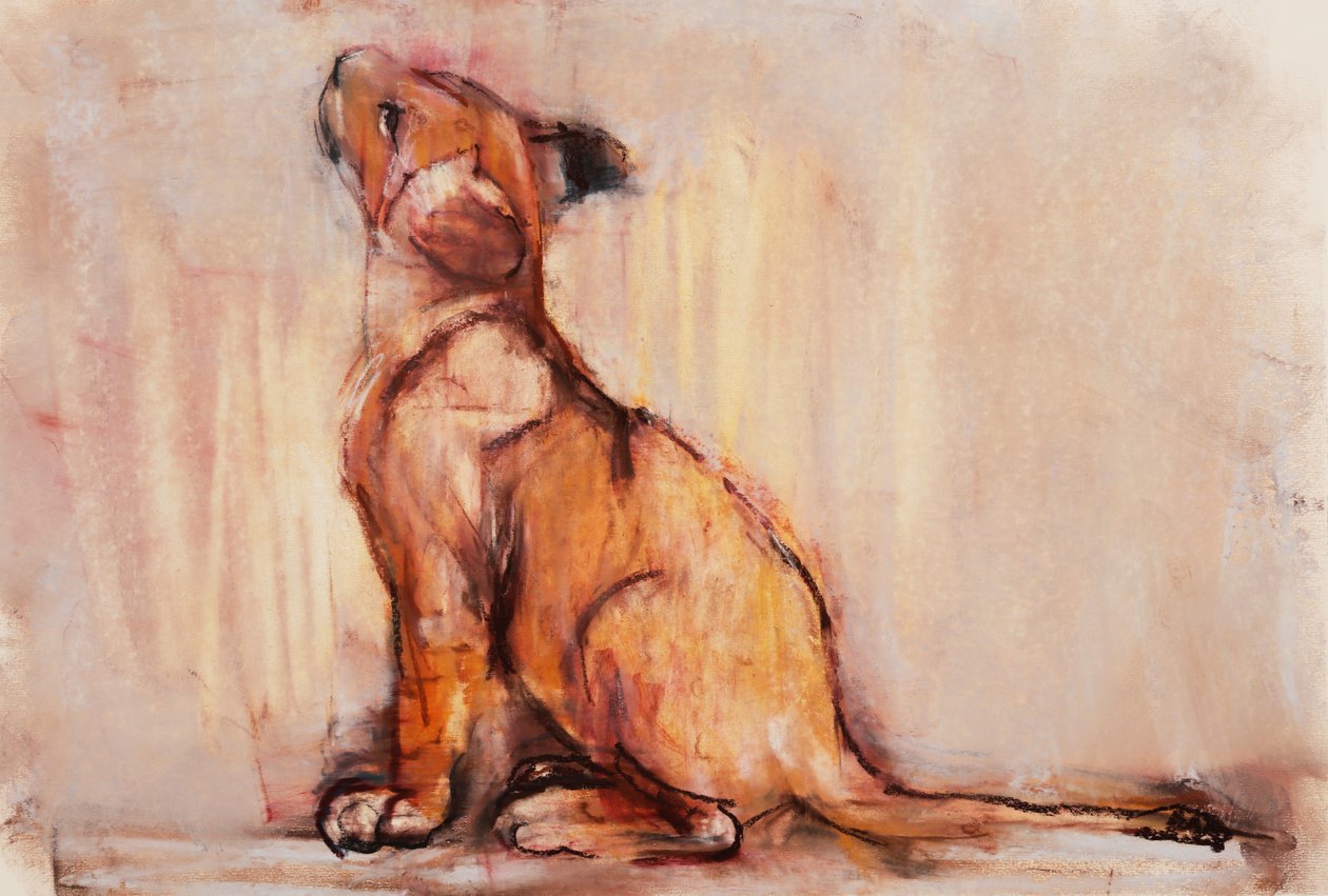 Goldenes Junges von Mark Adlington