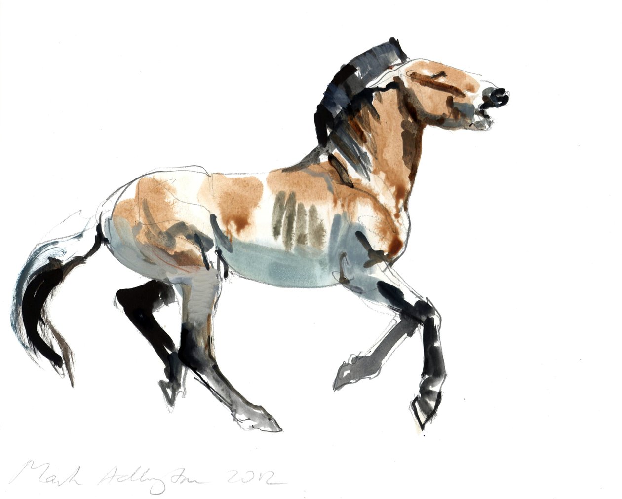 Griechisch (Przewalski), 2012 von Mark Adlington