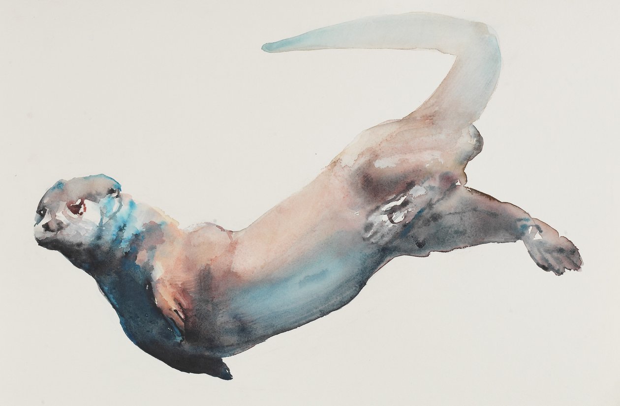 Jagd in der Tiefe von Mark Adlington