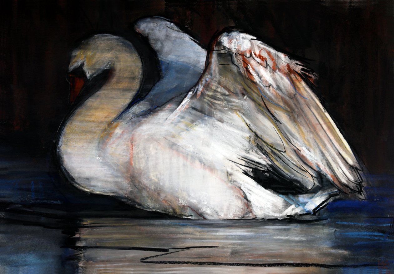 Nachtschwan, 2022 von Mark Adlington