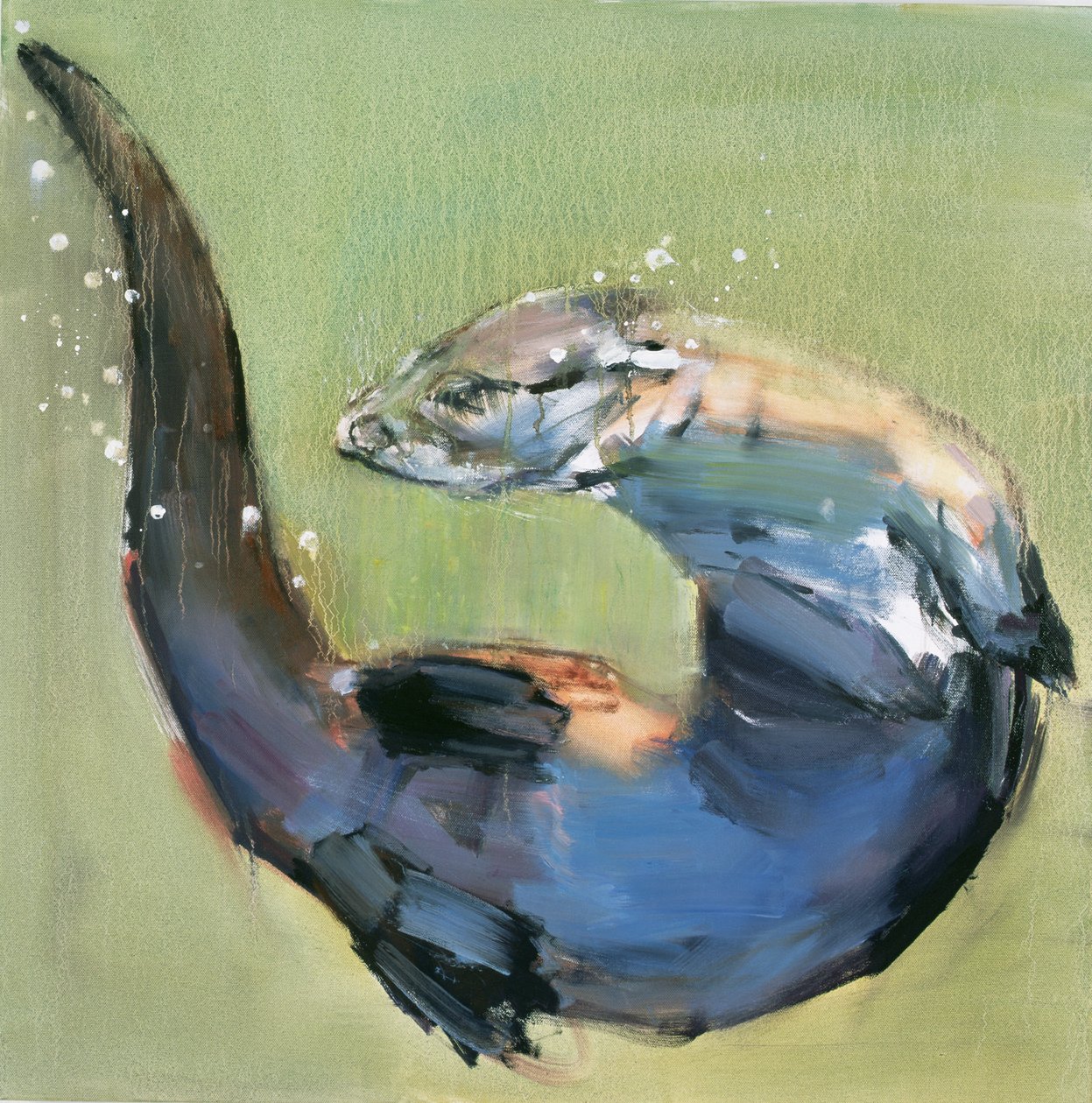 Otter, 2003 von Mark Adlington