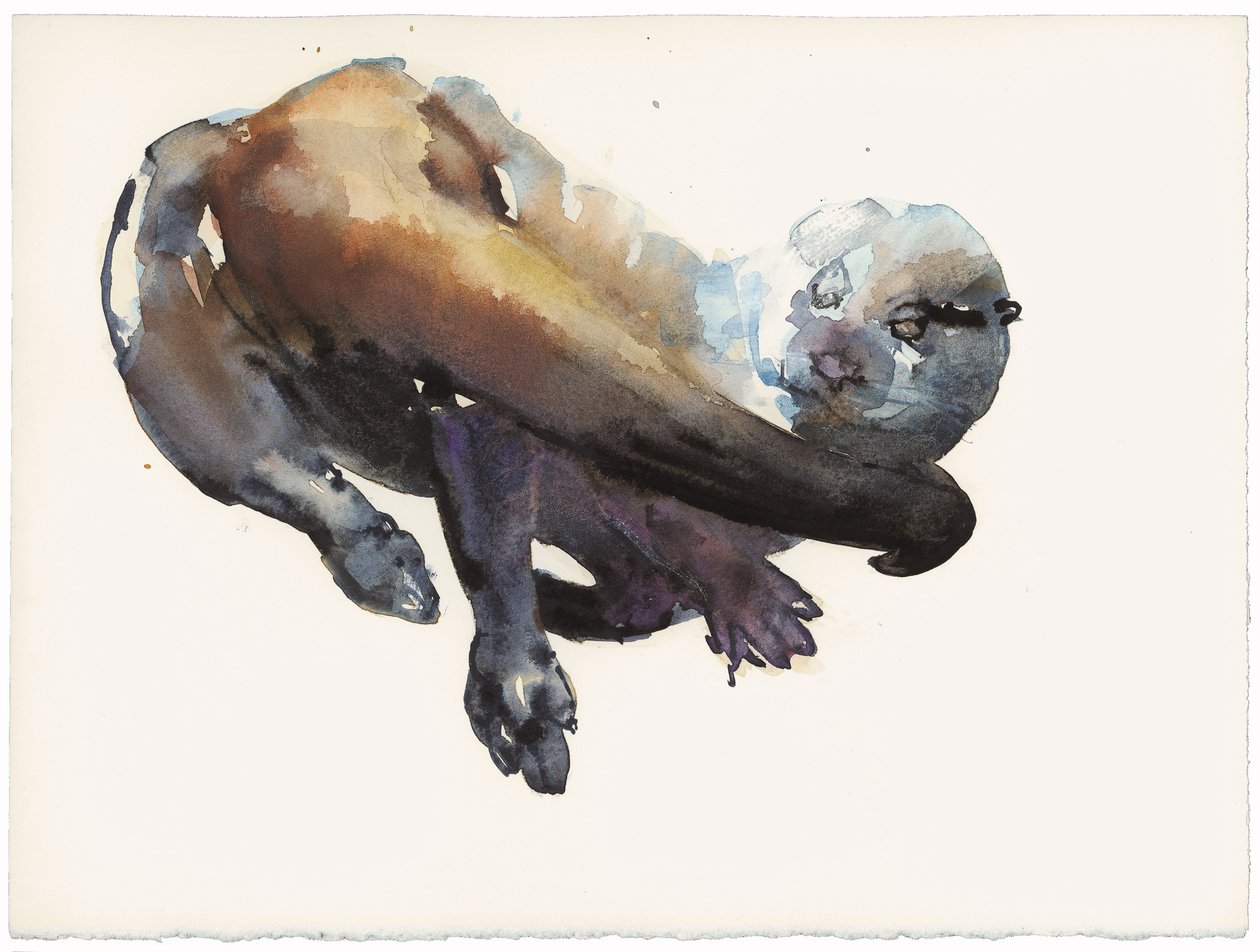 Otterstudie I - 