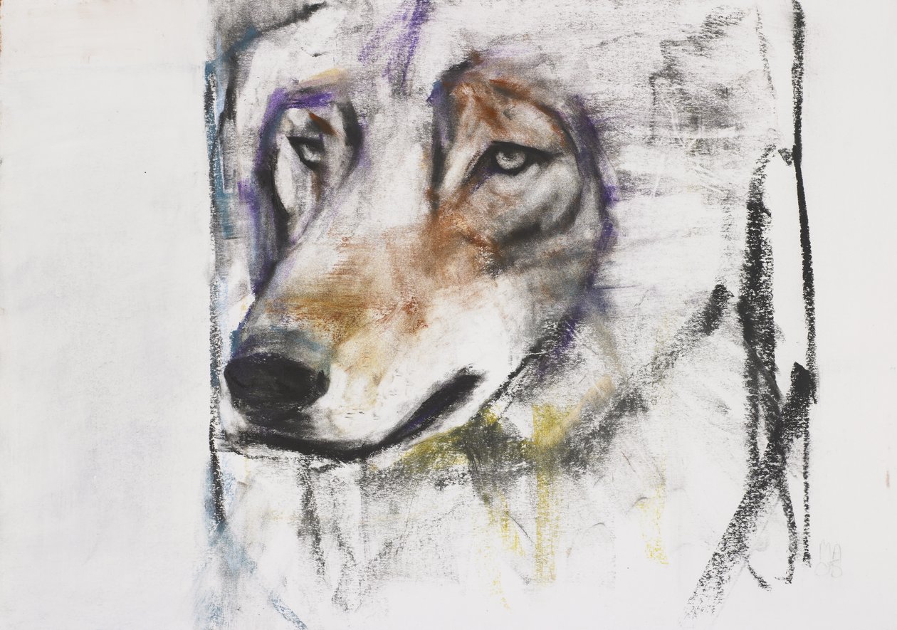 Prozess gegen den Wolf von Mark Adlington