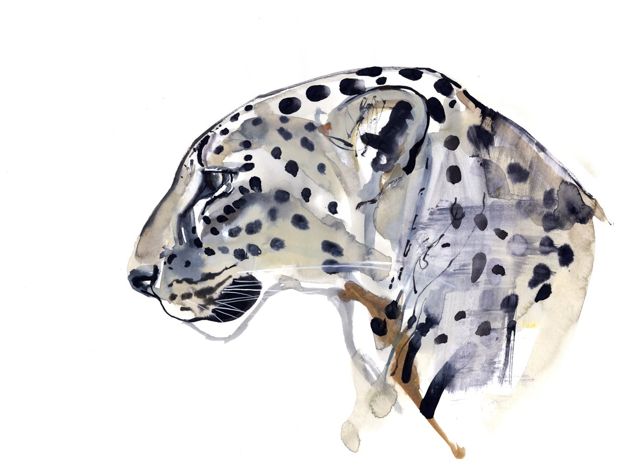 Profil (Arabischer Leopard), 2008 von Mark Adlington