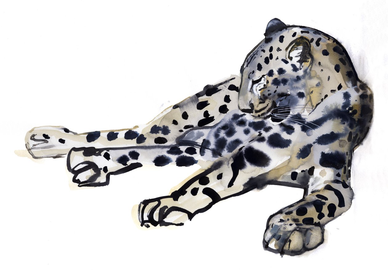 Liegender (Arabischer Leopard) von Mark Adlington