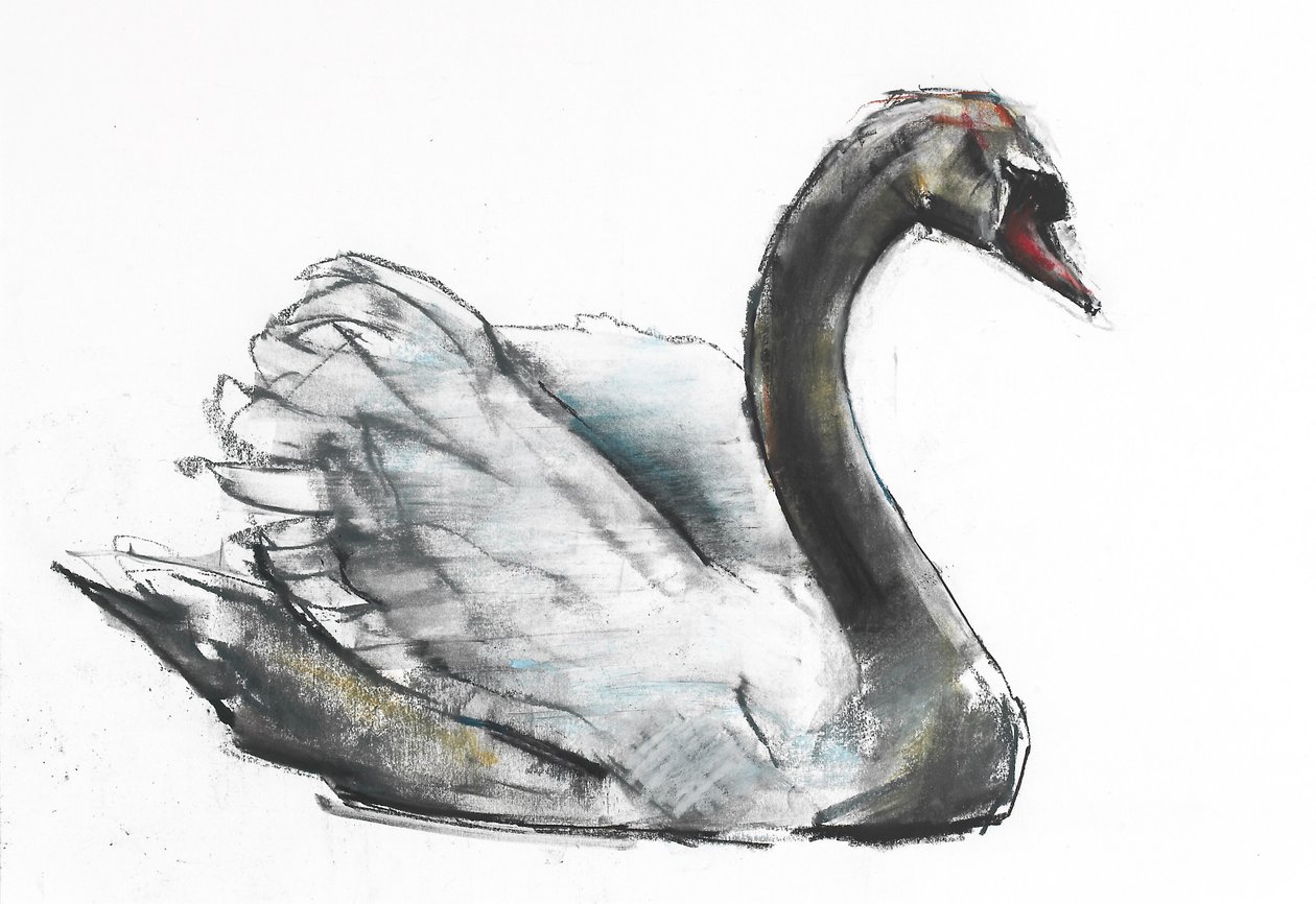 Schwan von Mark Adlington
