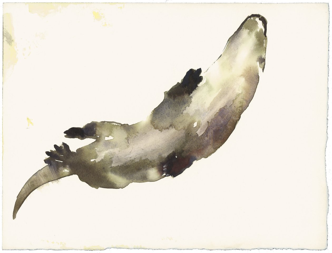 Schwimmen darüber von Mark Adlington