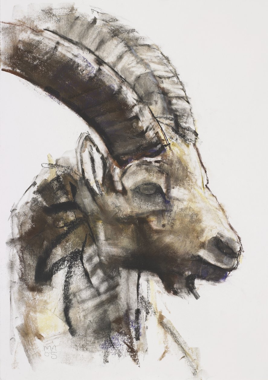 Testa, 2005 von Mark Adlington