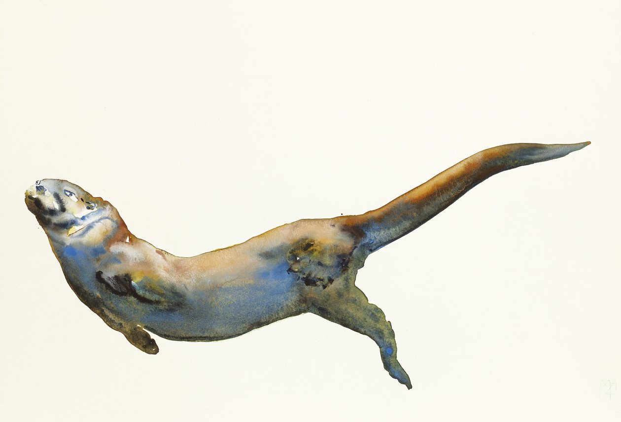 Samt, 2014 (Aquarell auf Papier) von Mark Adlington