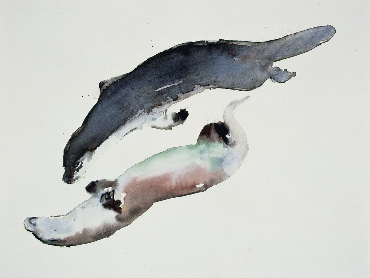 Yin Yang von Mark Adlington