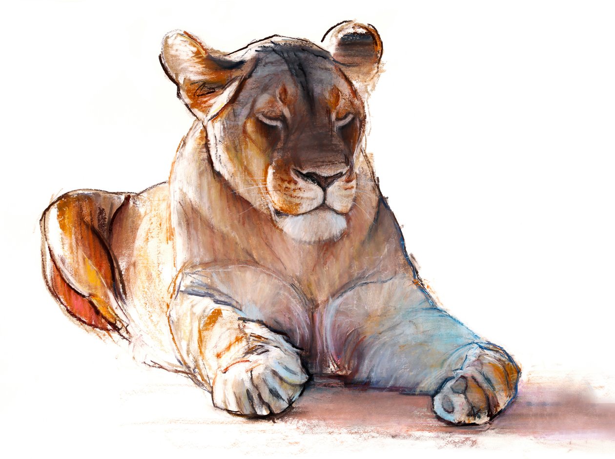 Yogi-Löwin, 2019 von Mark Adlington