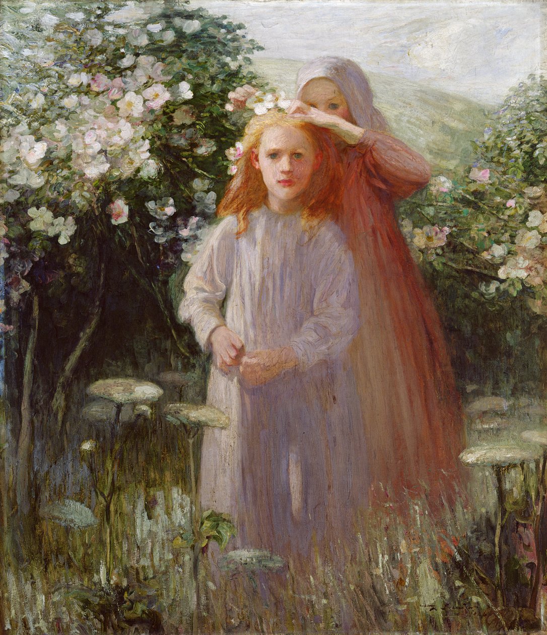 Wilde Rosen von Mark Senior