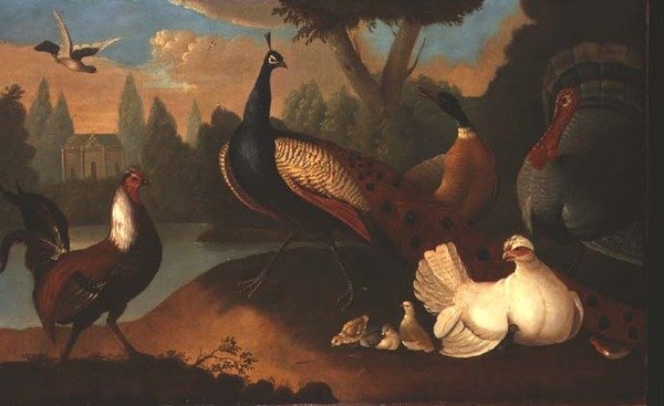 Landschaft mit verschiedenen Vögeln von Marmaduke Craddock