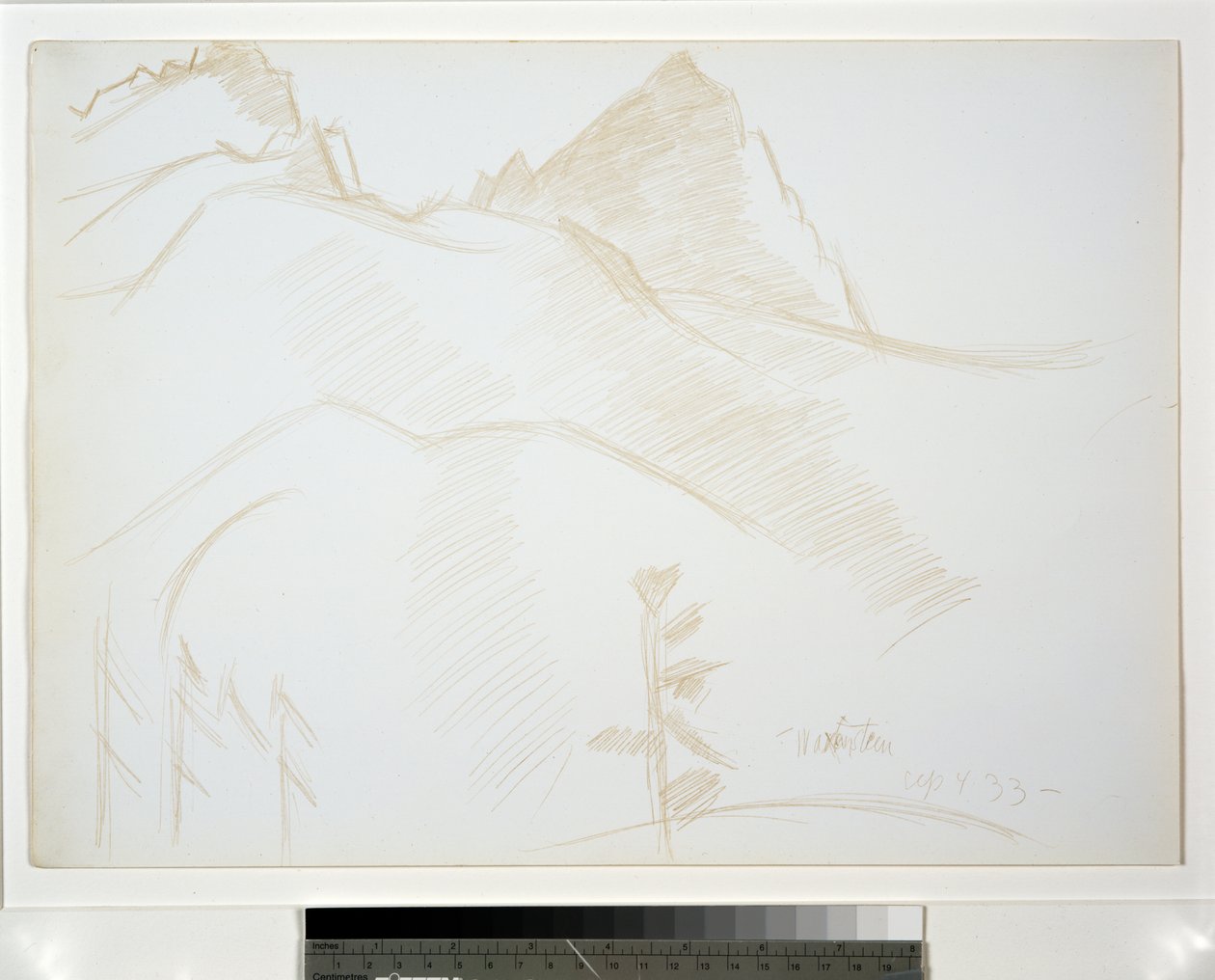 Berglandschaft mit Kiefern von Marsden Hartley