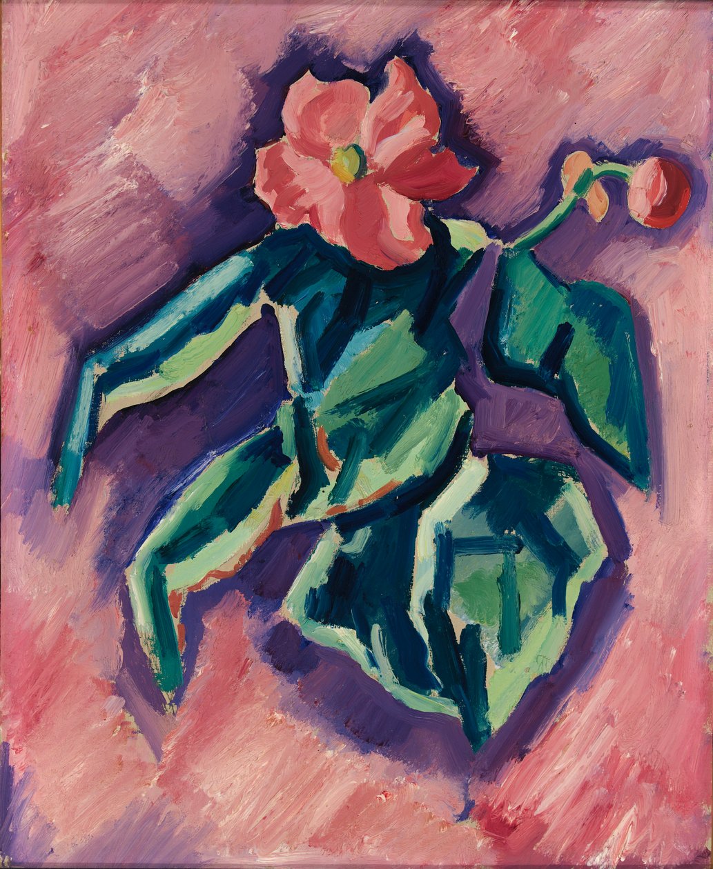 Rosa Begonien, 1928-1929 von Marsden Hartley