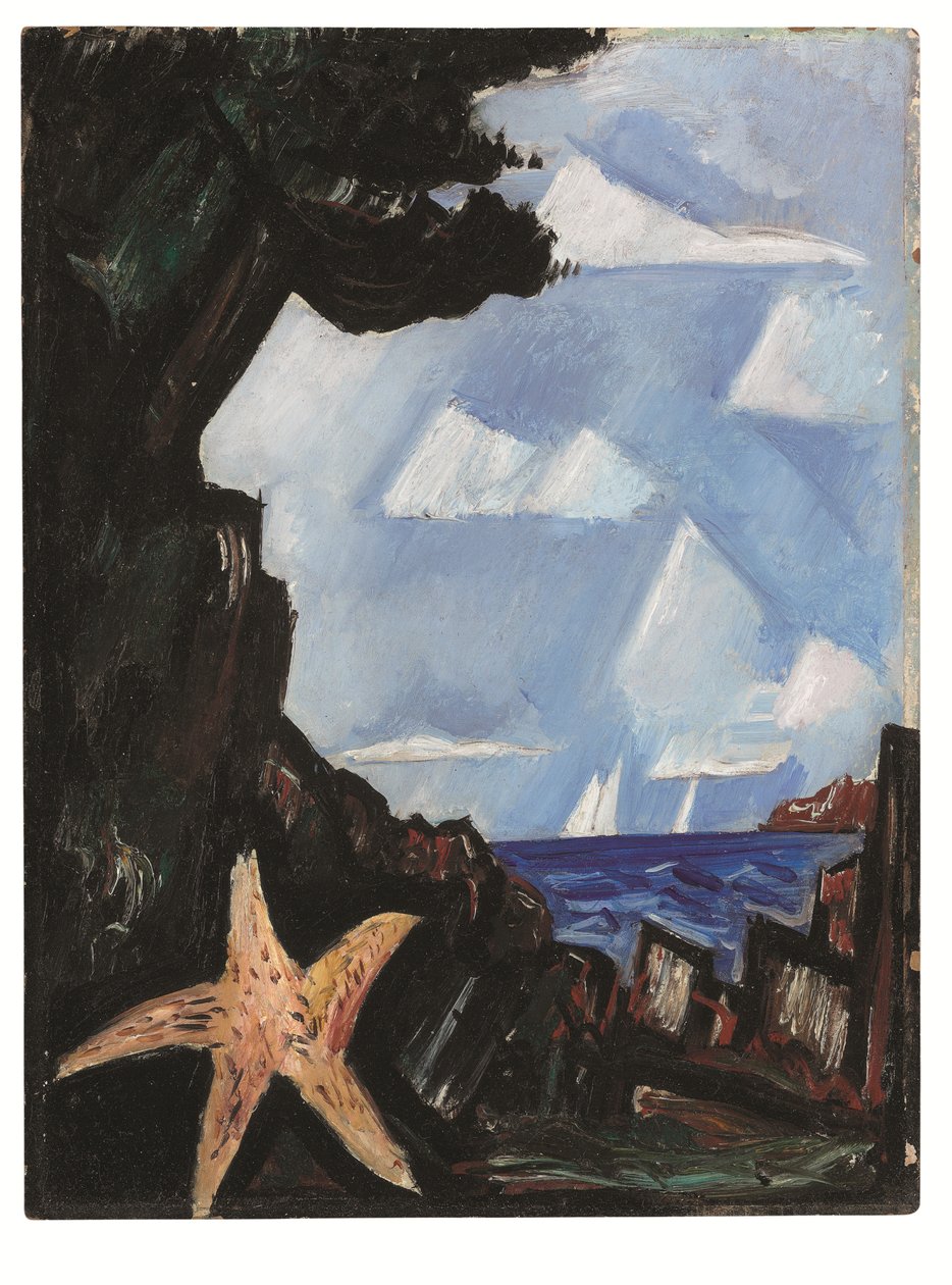 Meeresblick--Seestern, Neuengland von Marsden Hartley