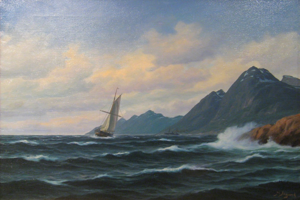 Küstenlandschaft von Martin Aagaard