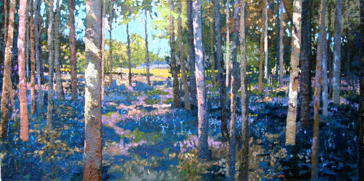 Bluebell Wald, 2009 von Martin Decent
